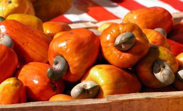 Cashew Nuts: Vietnam Products Comparion With Other Countries