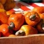 Cashew Nuts: Vietnam Products Comparion With Other Countries